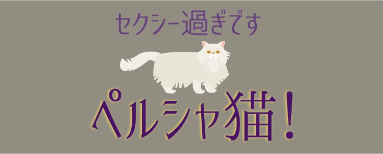 凛としていて素敵なペルシャ猫！